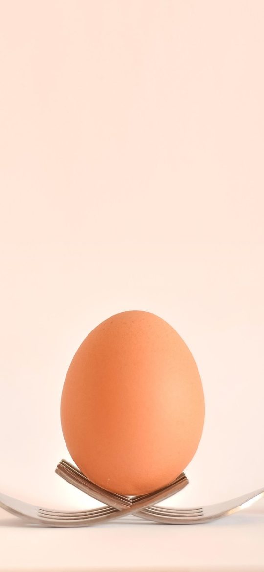可爱过敏原 App 过敏原分组管理界面截图，食物、接触物、环境、药物等分组以列表形式呈现并可编辑